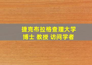 捷克布拉格查理大学博士 教授 访问学者